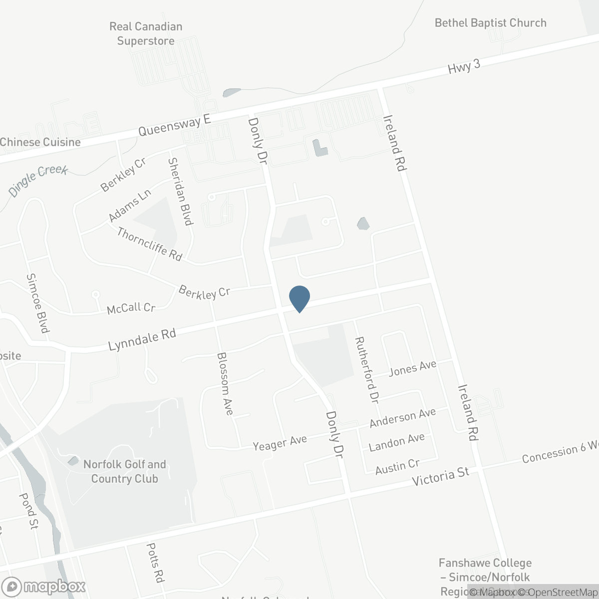 91 LYNNDALE Road, Simcoe, Ontario N3Y 4W9
